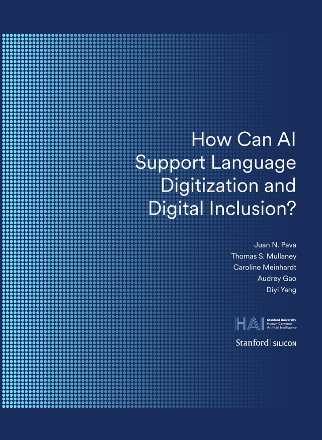 Mind the (Language) Gap: Mapping the Challenges of LLM Development in ...