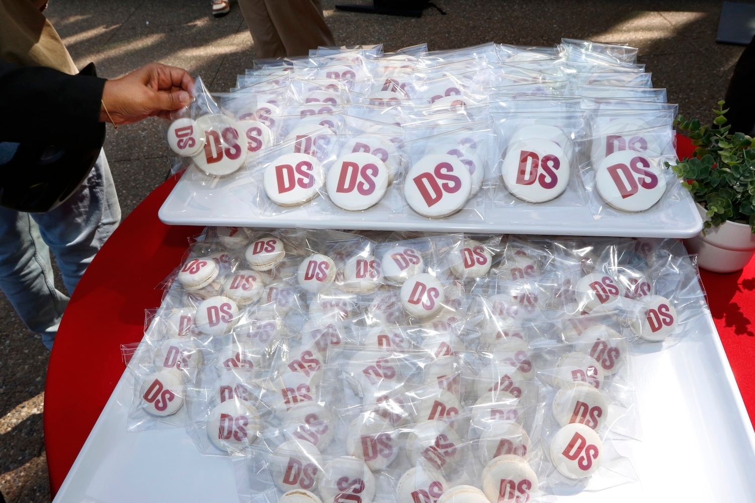 SDS Conference photo