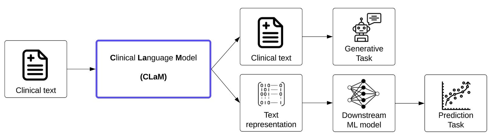 Flow chart showing the inputs and outputs of Clinical Language Model (CLaMs)