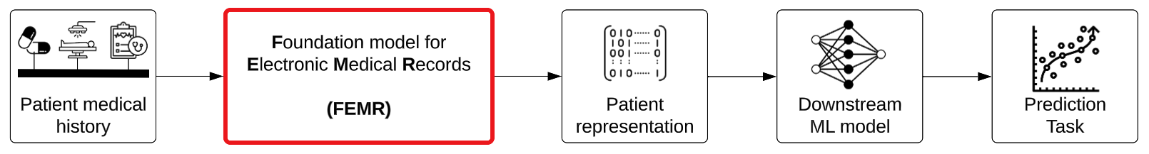 flow chart showing The inputs and outputs of Foundation models for Electronic Medical Records (FEMRs)