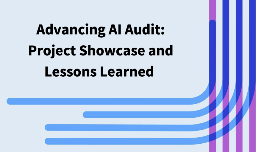 Advancing AI Audit: Project Showcase and Lessons Learned 