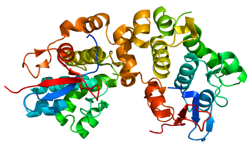 An illustration of curled protein strands