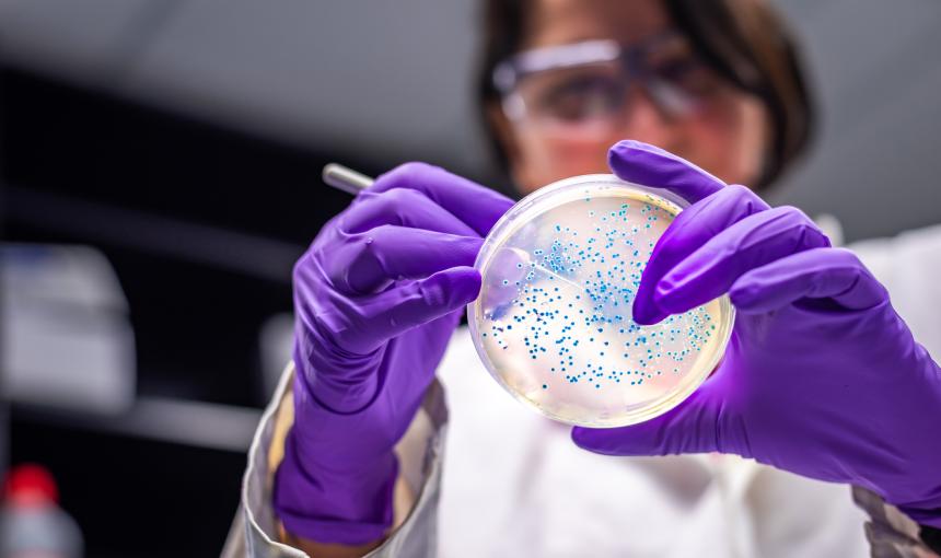 A biomedical researcher examines a petri dish