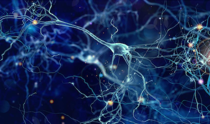 Illustration of brain neurons