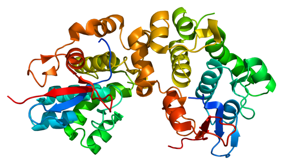 Examples of protein structures