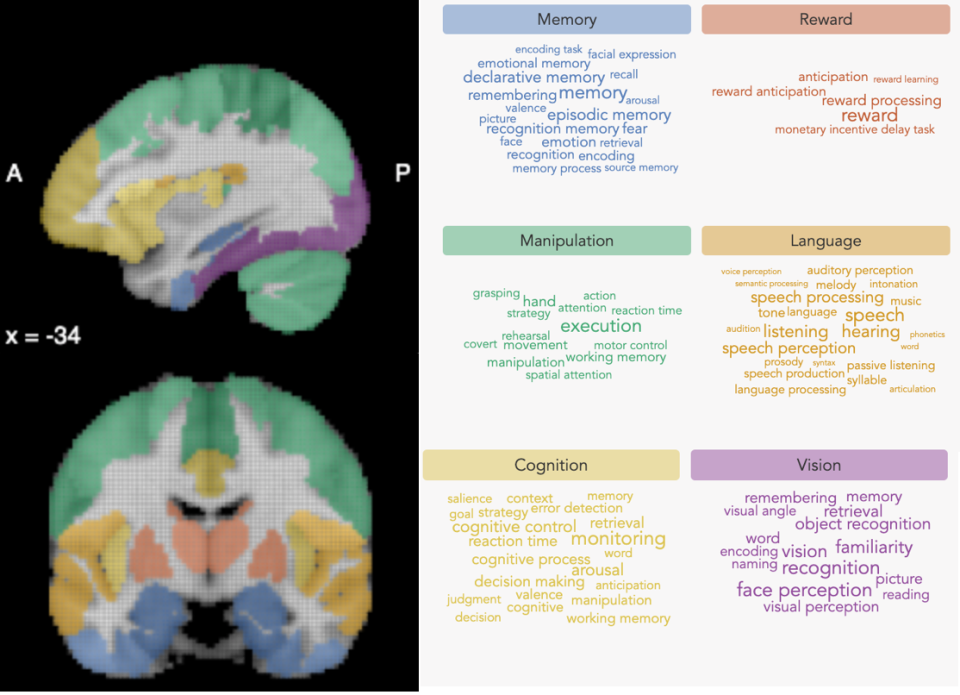images of brain scans with the different domains and feelings associated with those domains listed
